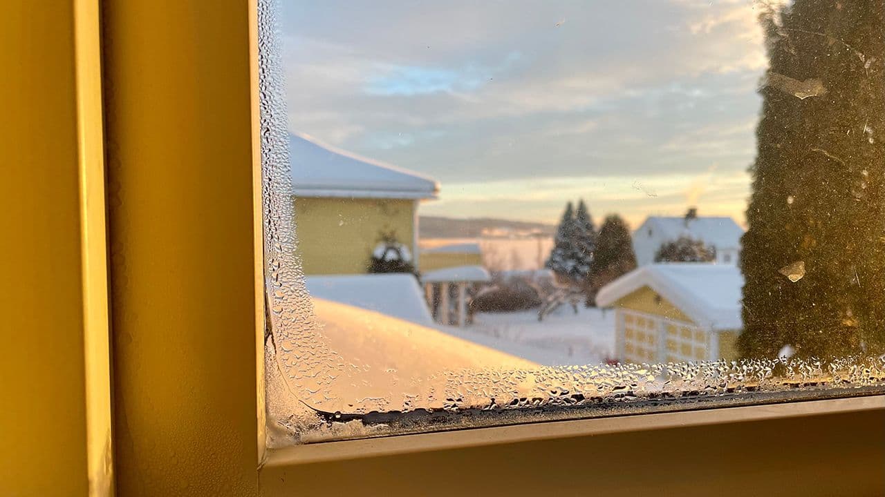 Dugg på utsiden av vindu.