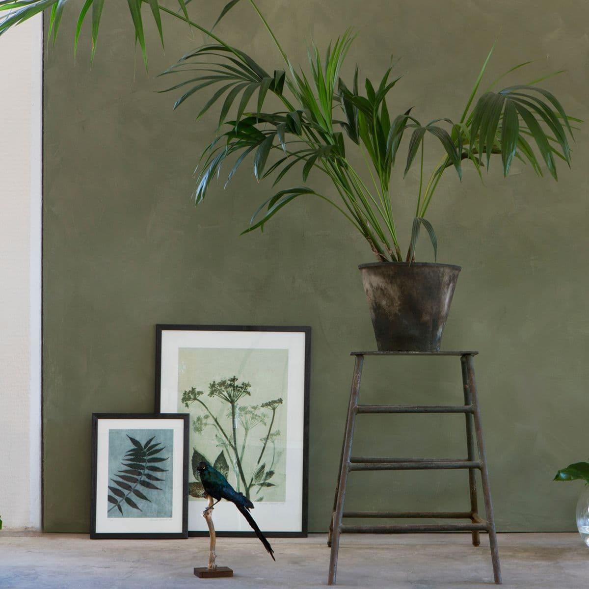 Slett vegg i grønt.