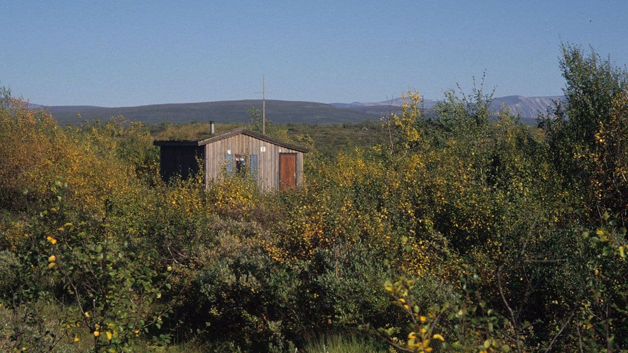 DNT turisthytte "Bojobæskihytta" i skogen i Alta